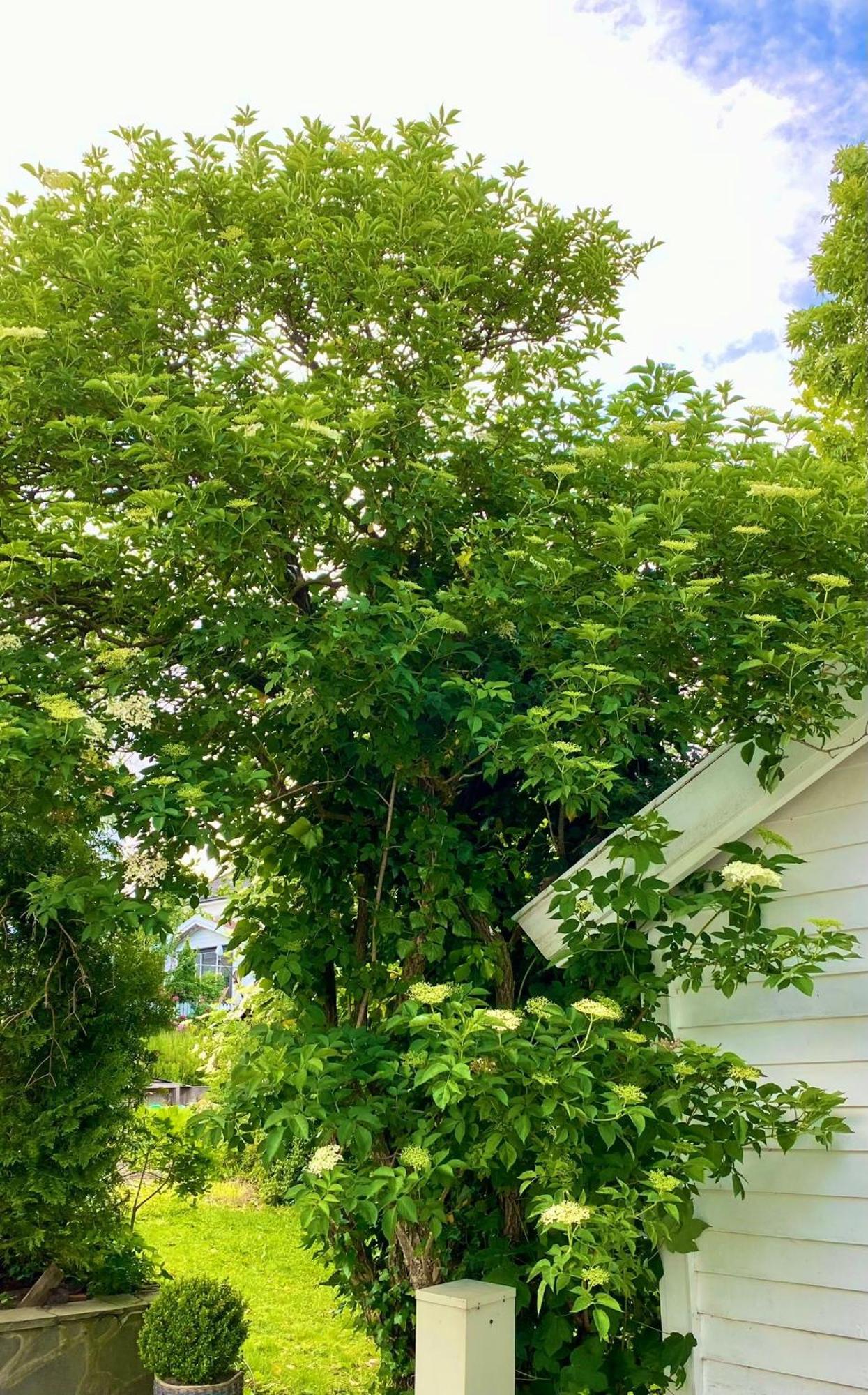 Down Town Apartment With Outside Area In Villa Κρίστιανσαντ Εξωτερικό φωτογραφία